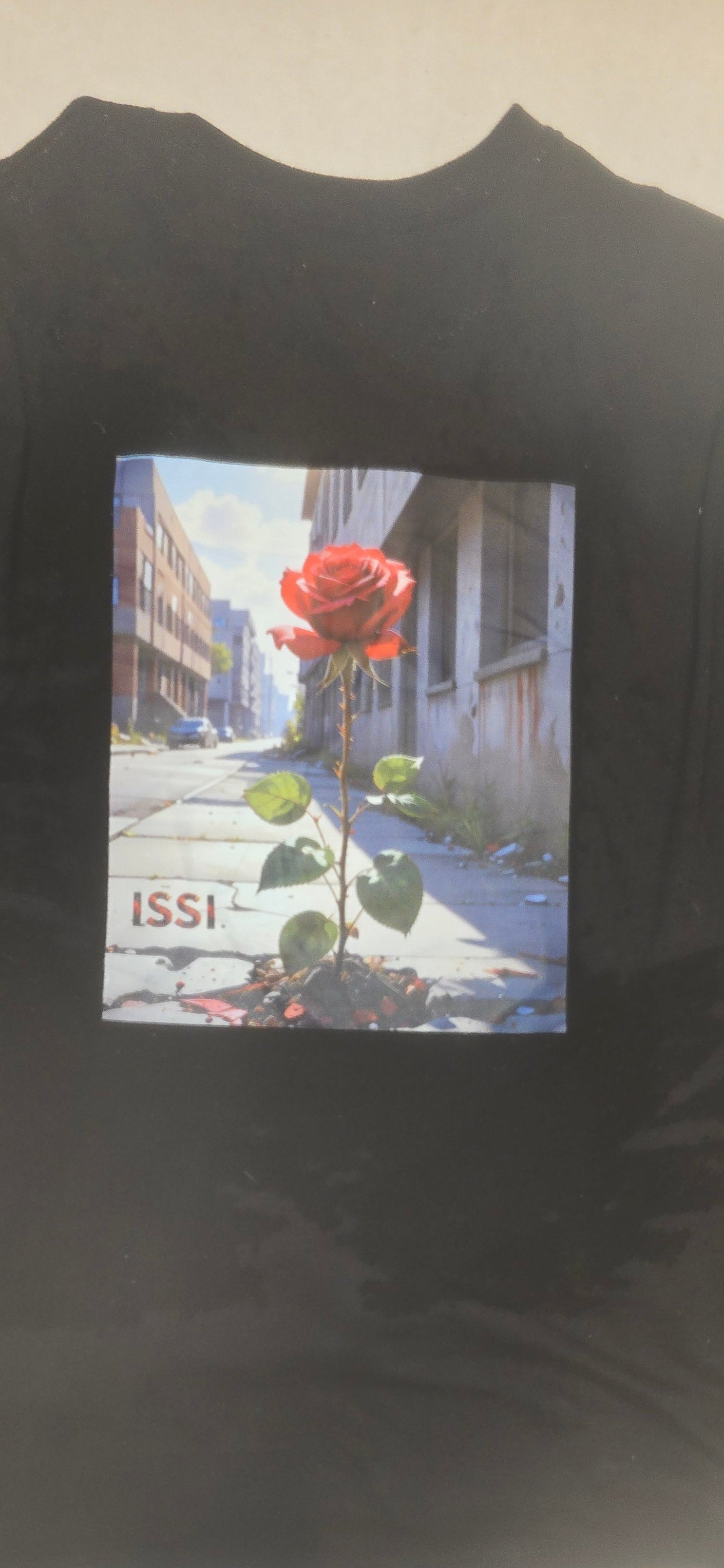 Rose from the Concrete