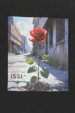 Rose from the Concrete